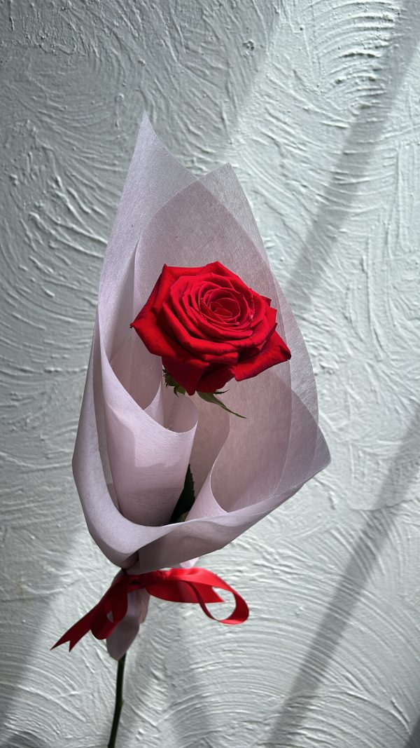Say It With Premium Roses - Image 4
