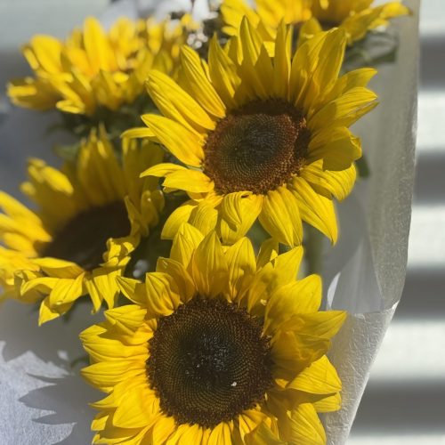 Sunflowers 2